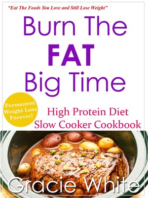 cover image of Burn the Fat Big Time High Protein Diet Slow Cooker Cookbook
